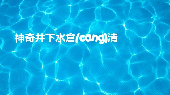 神奇井下水倉(cāng)清淤脫水設(shè)備：解密地底秘境，揭開(kāi)隱匿深淵的奧秘！